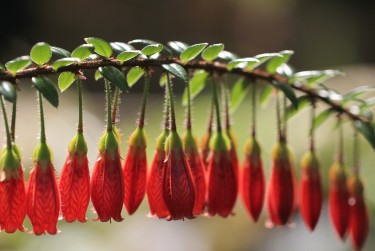 广州海珠区7私人快速借钱网，轻松解决资金难题