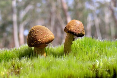 广州海珠区7私人老板放款：轻松融资的秘密通道